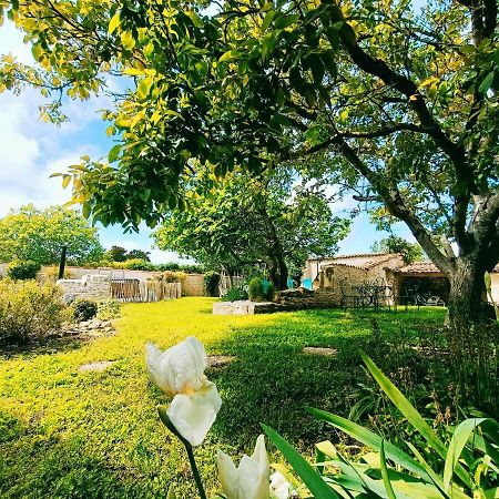Gite 3 Etoiles Avec Spa, 2 Chambres Le Logis De Pearl Salles-sur-Mer Exterior foto