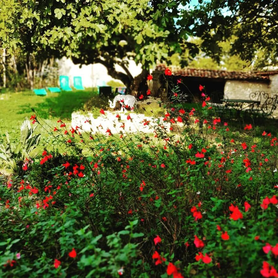 Gite 3 Etoiles Avec Spa, 2 Chambres Le Logis De Pearl Salles-sur-Mer Exterior foto